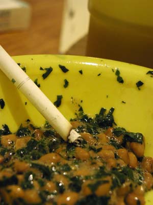 納豆と煙草